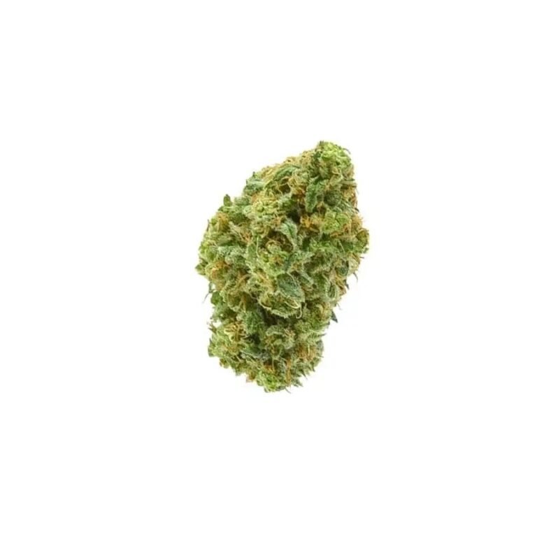 Durban Poison Flower up close
